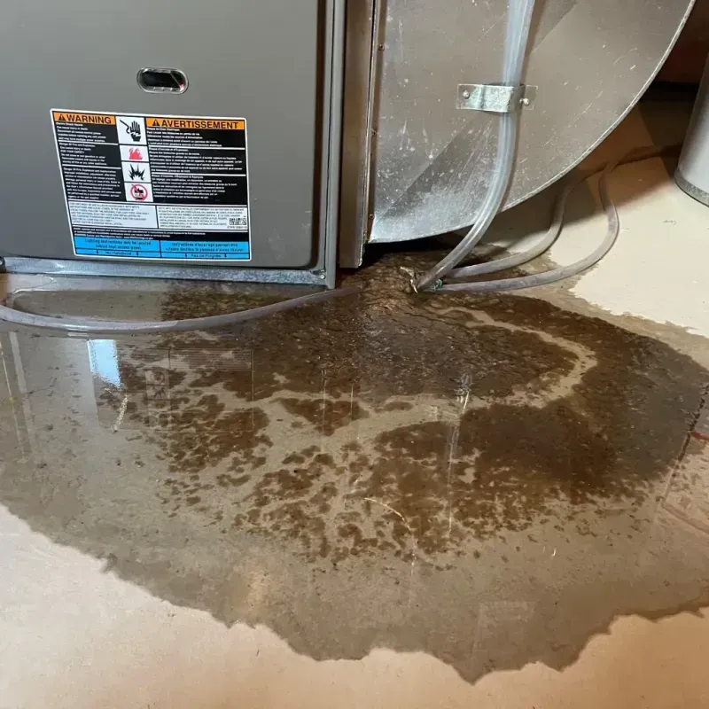 Appliance Leak Cleanup in Decatur County, IN